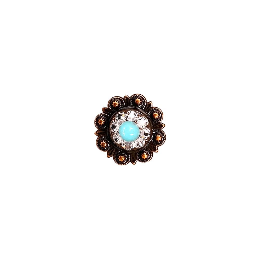 Fashion Turquoise & Clear Copper 1