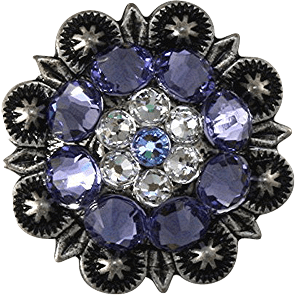 ANTIQUE SILVER LIGHT SAPPHIRE - CLEAR - LILAC - RODEO DRIVE