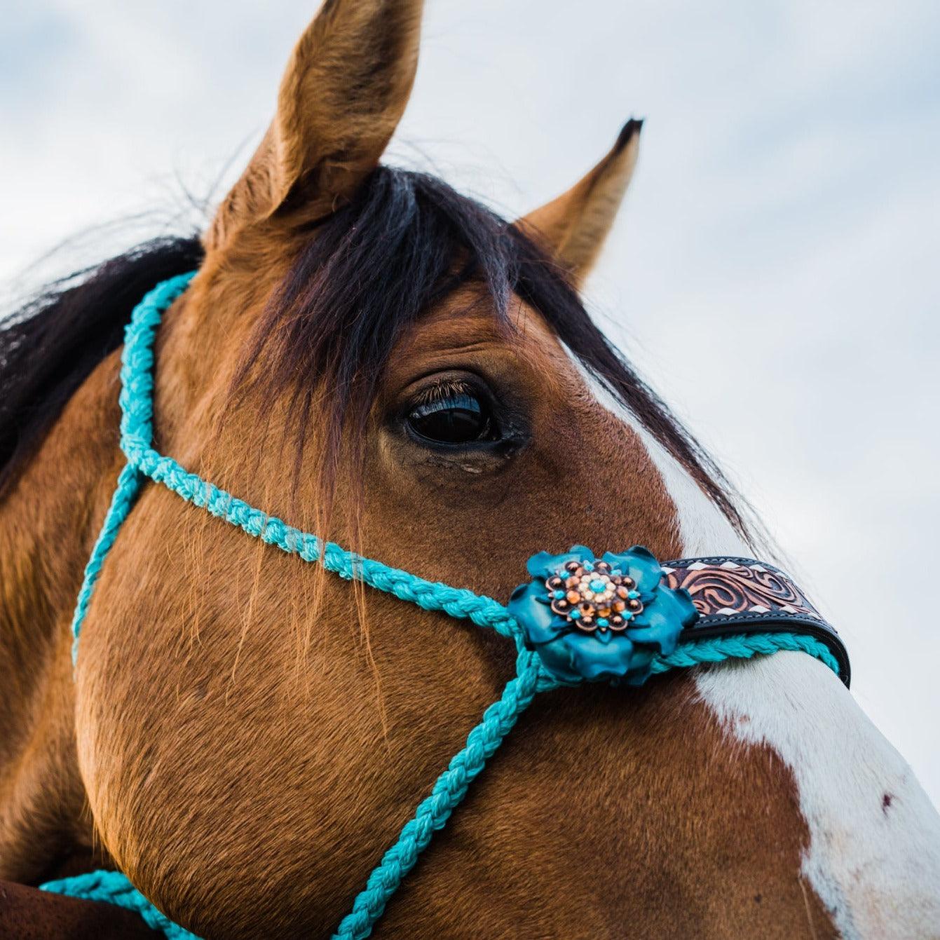 Turquoise Mule Tape Halter - Teal/Champagne/Topaz #MT210 - RODEO DRIVE