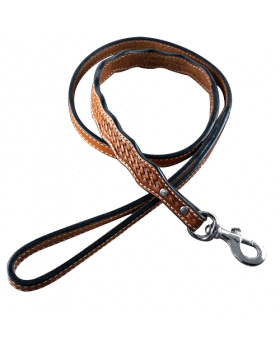 Dog Collars Light Oil Leather leash 4' x 1