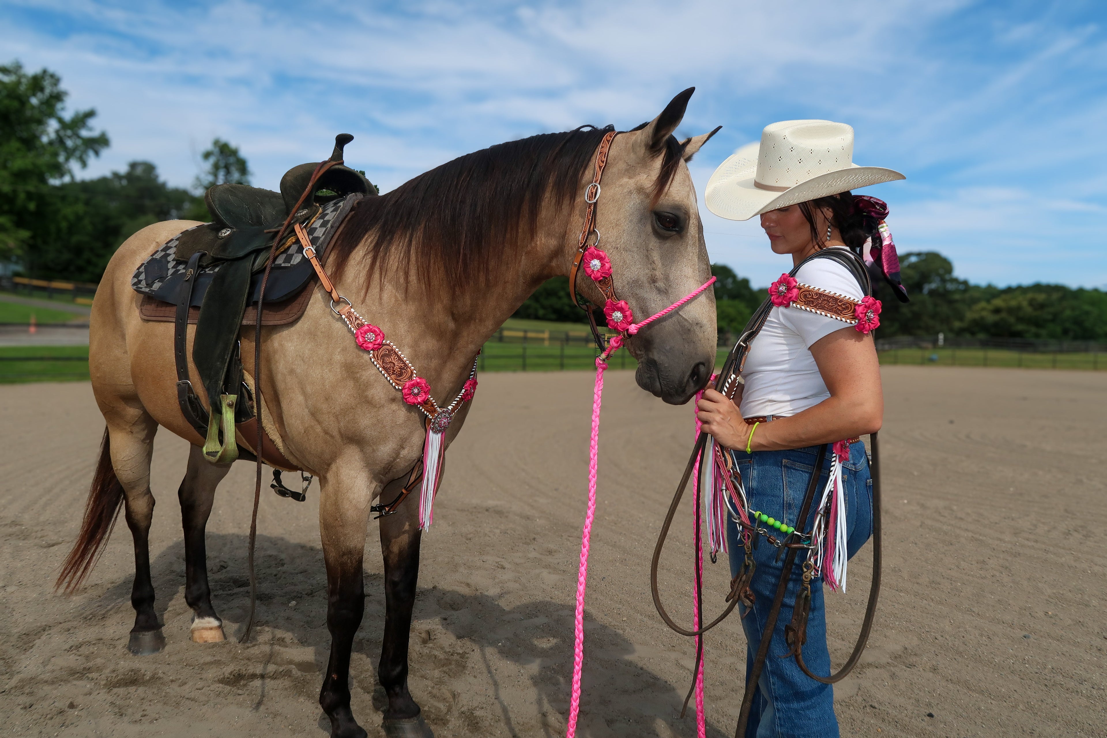 HALTERS & NOSEBANDS - RODEO DRIVE