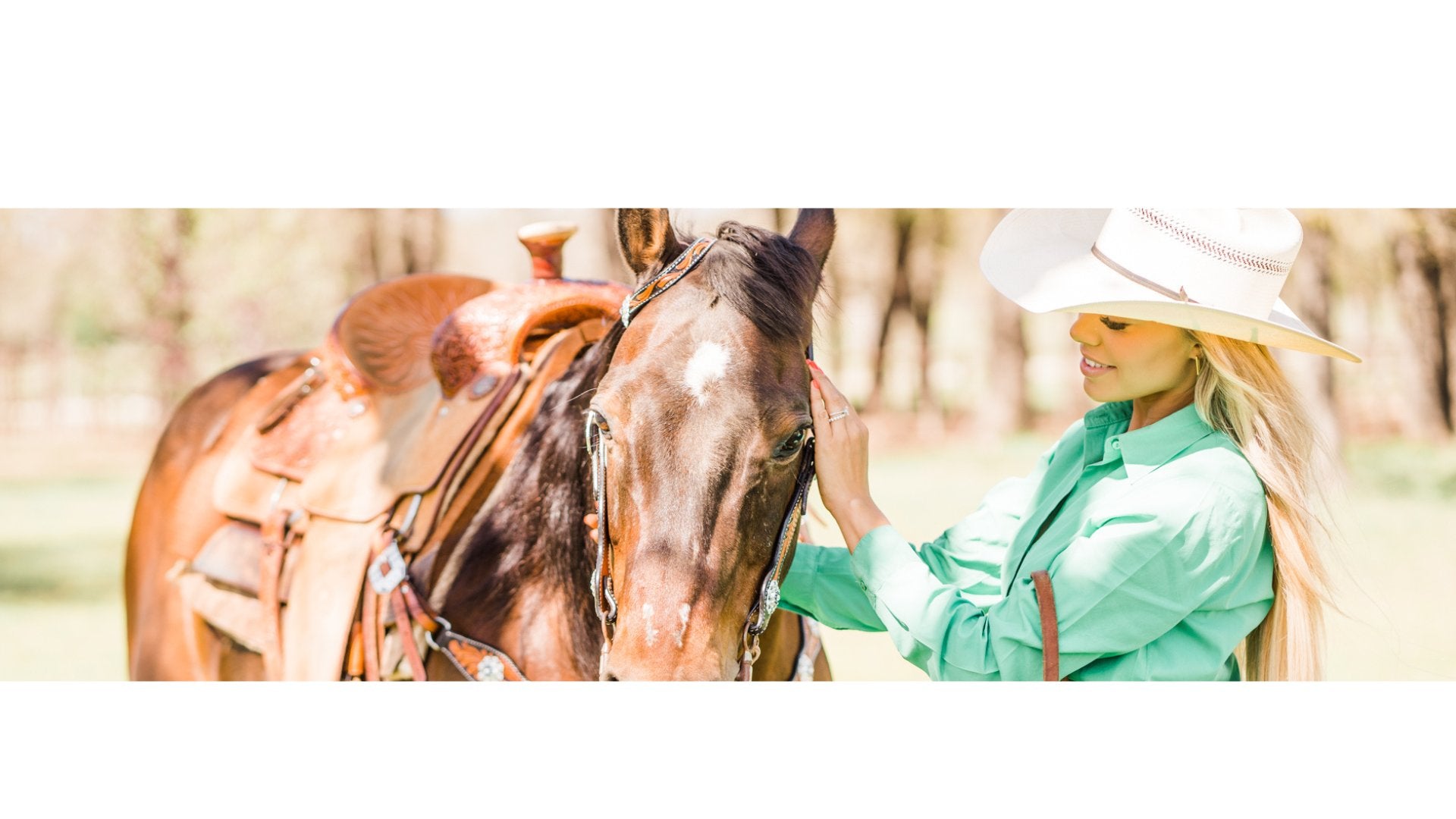Saddle Accessories - RODEO DRIVE