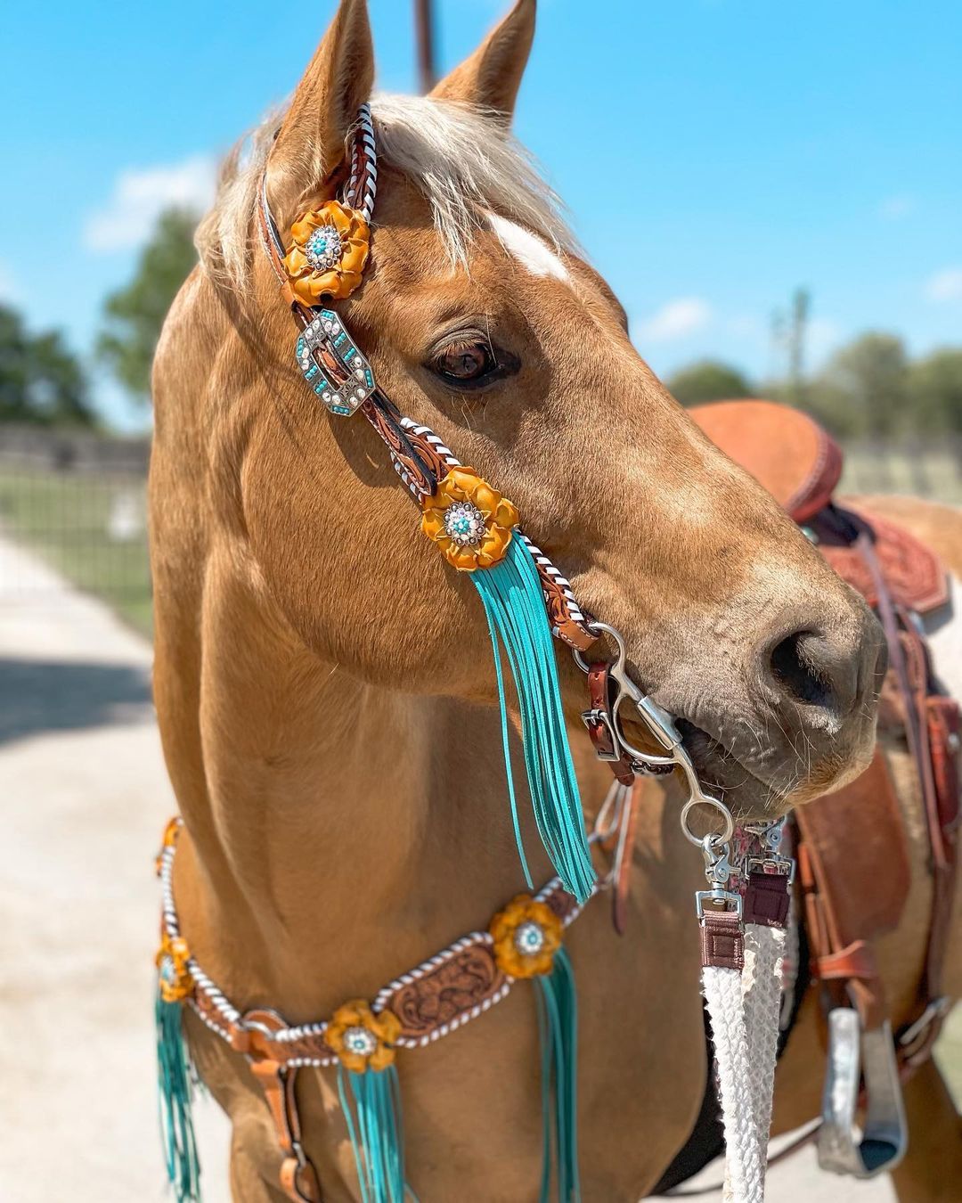 Leather horse size tack- Ships from Texas 