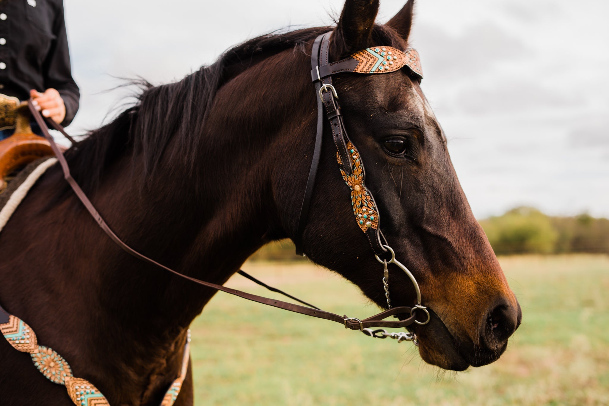 Headstalls