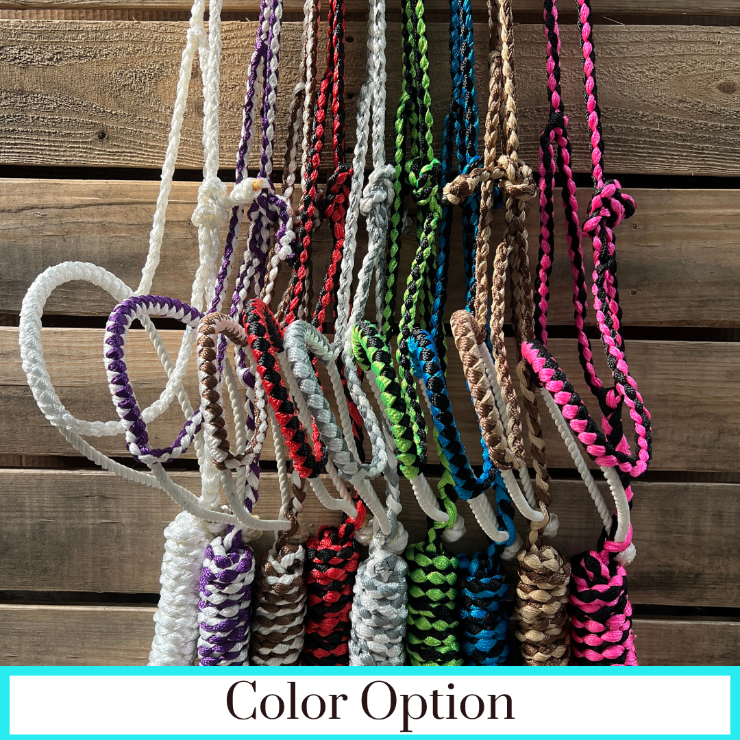 Lariat Mule Tape Halters - Assorted Double Colors-