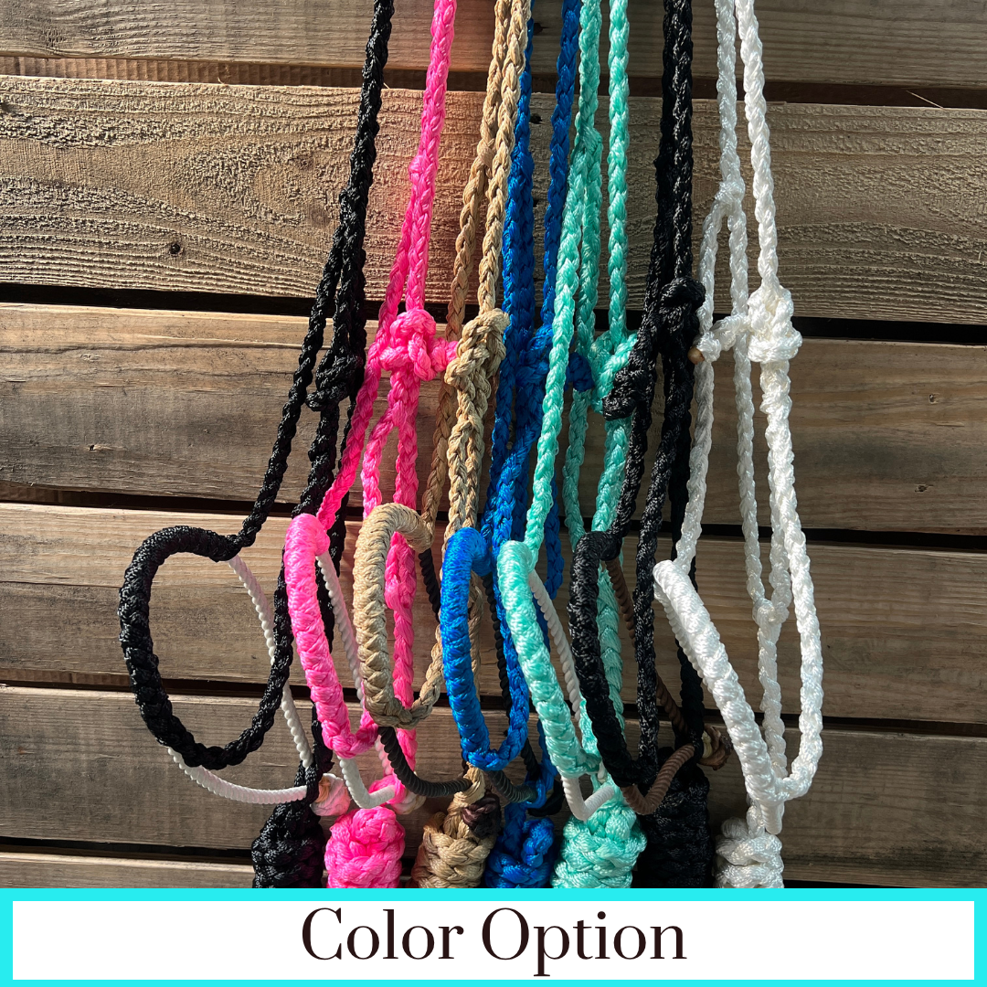Lariat Mule Tape Halters - Assorted Colors-