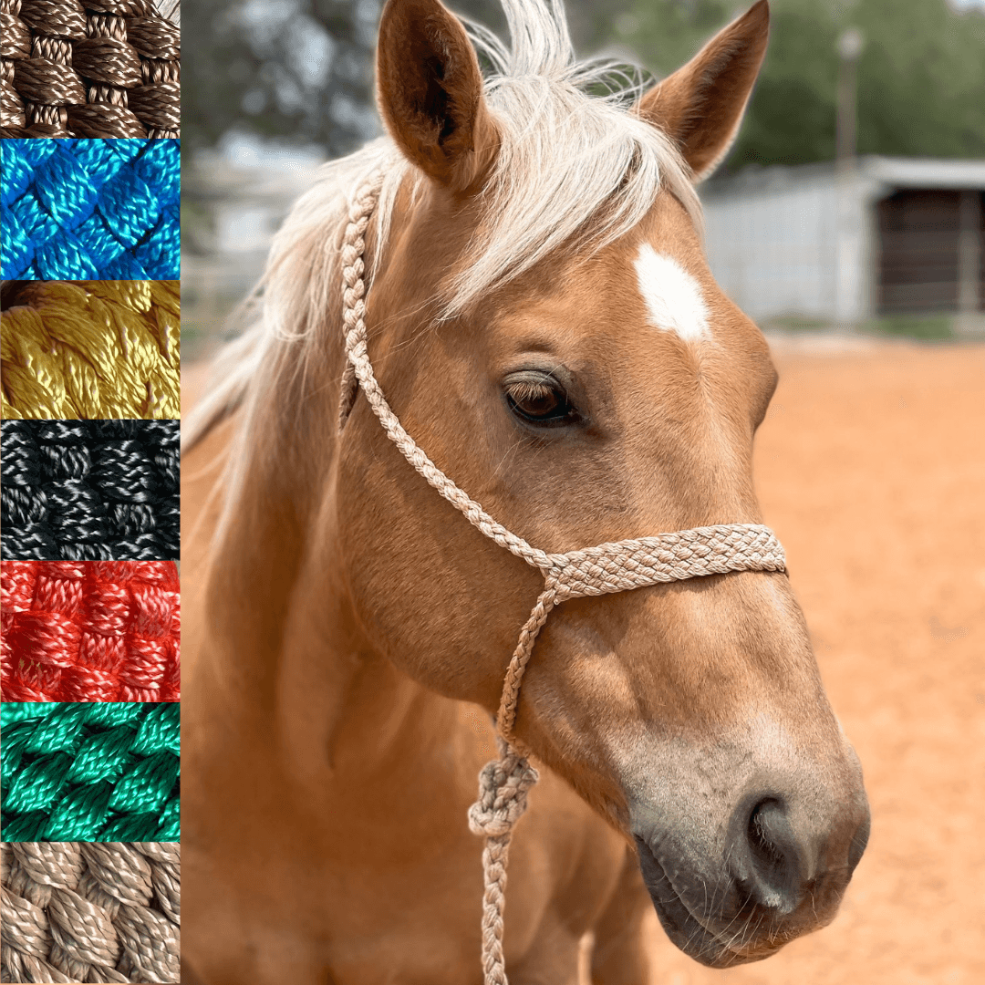 Mule Tape Halters - Assorted Colors- - RODEO DRIVE