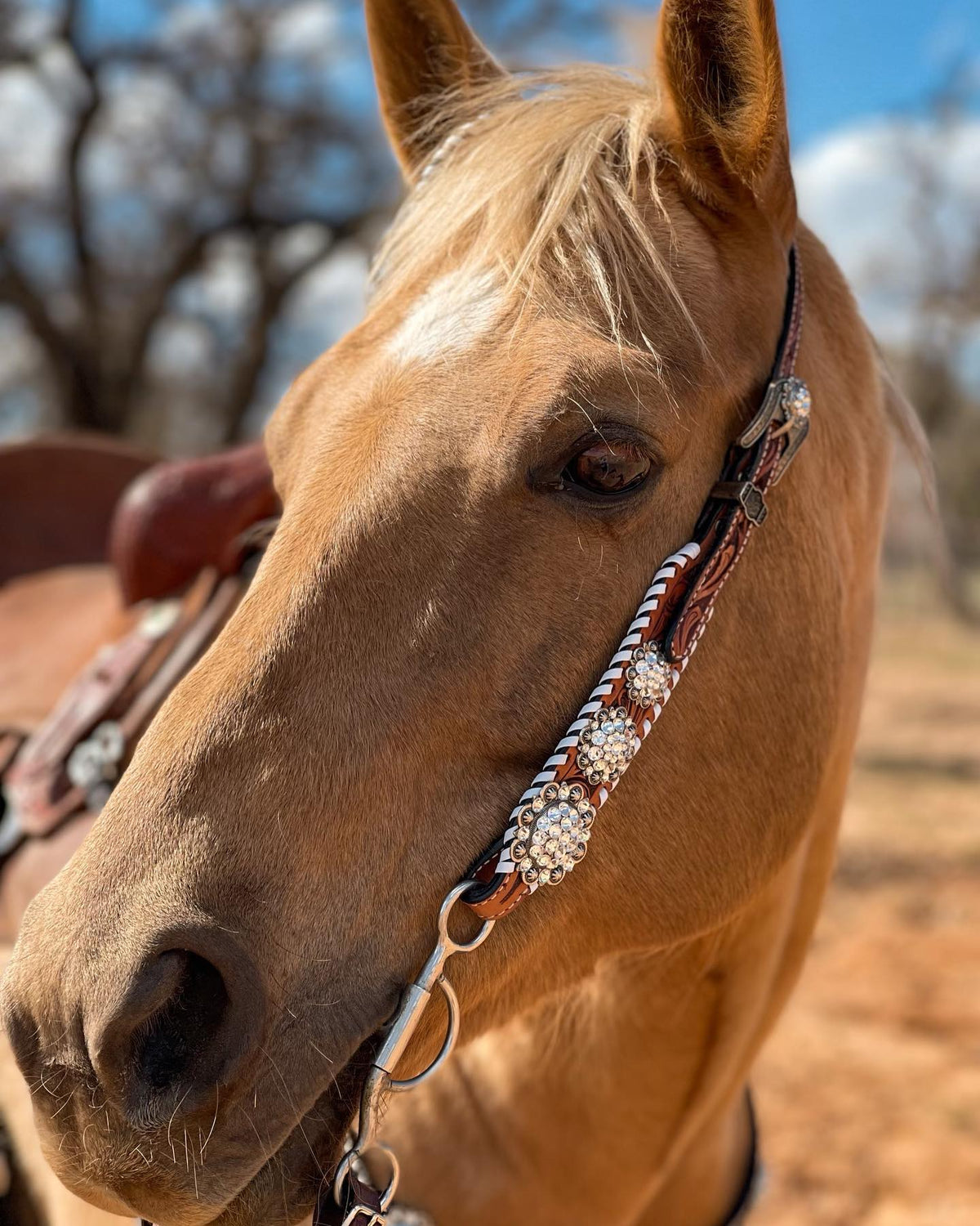 Braided Horse Hair Brown Hair Barrette with Conchos There main image 2