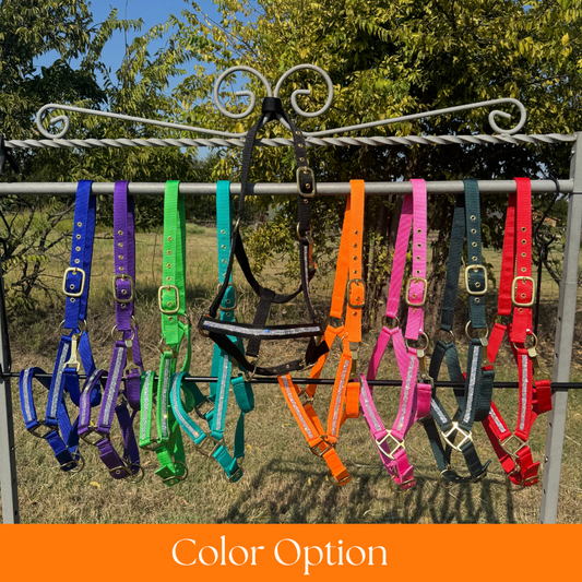 Colorful horse halters hanging on a metal rack outdoors.