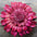 Hand Painted Leather Flowers - Daisies