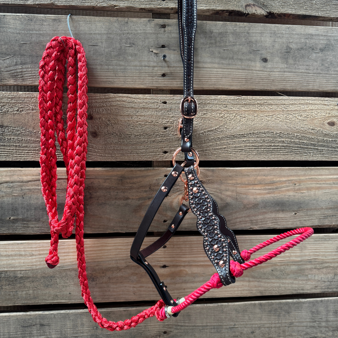 Red Honeycomb Tooled Lariat & Leather Combo Halter