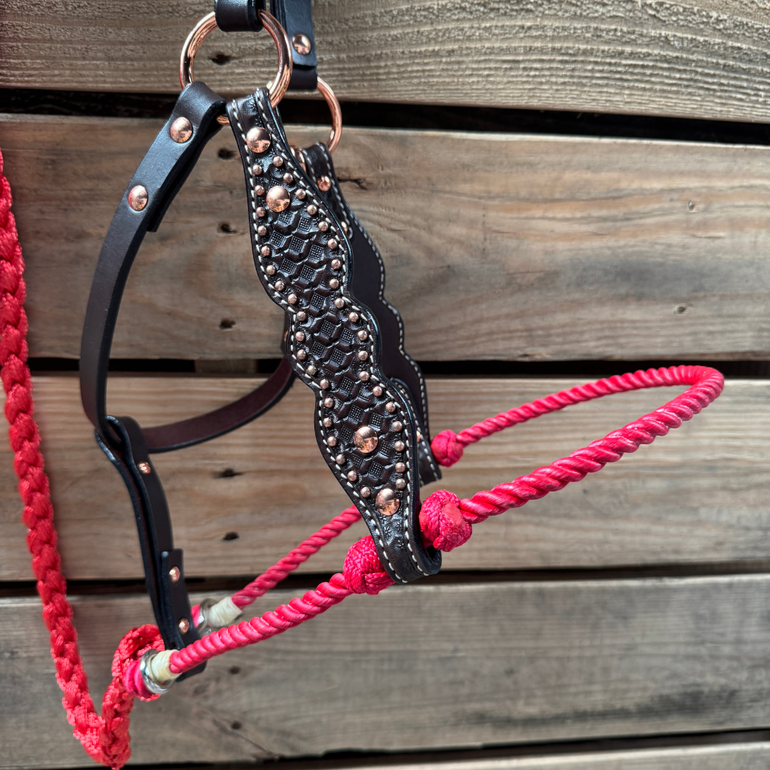 Red Honeycomb Tooled Lariat & Leather Combo Halter