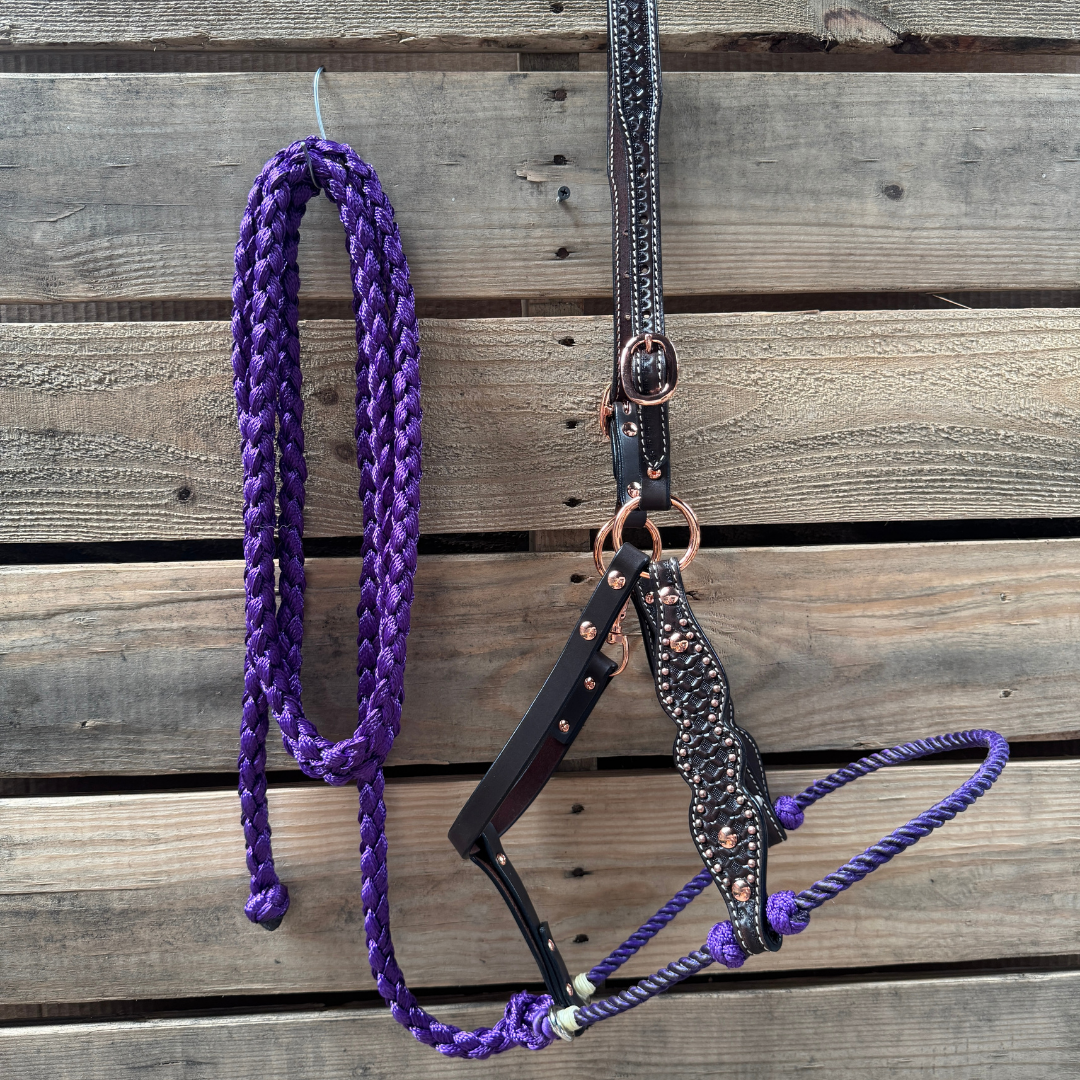 Purple Honeycomb Tooled Lariat & Leather Combo Halter