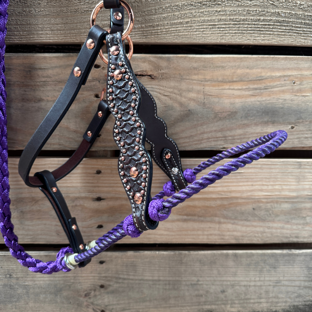 Purple Honeycomb Tooled Lariat & Leather Combo Halter