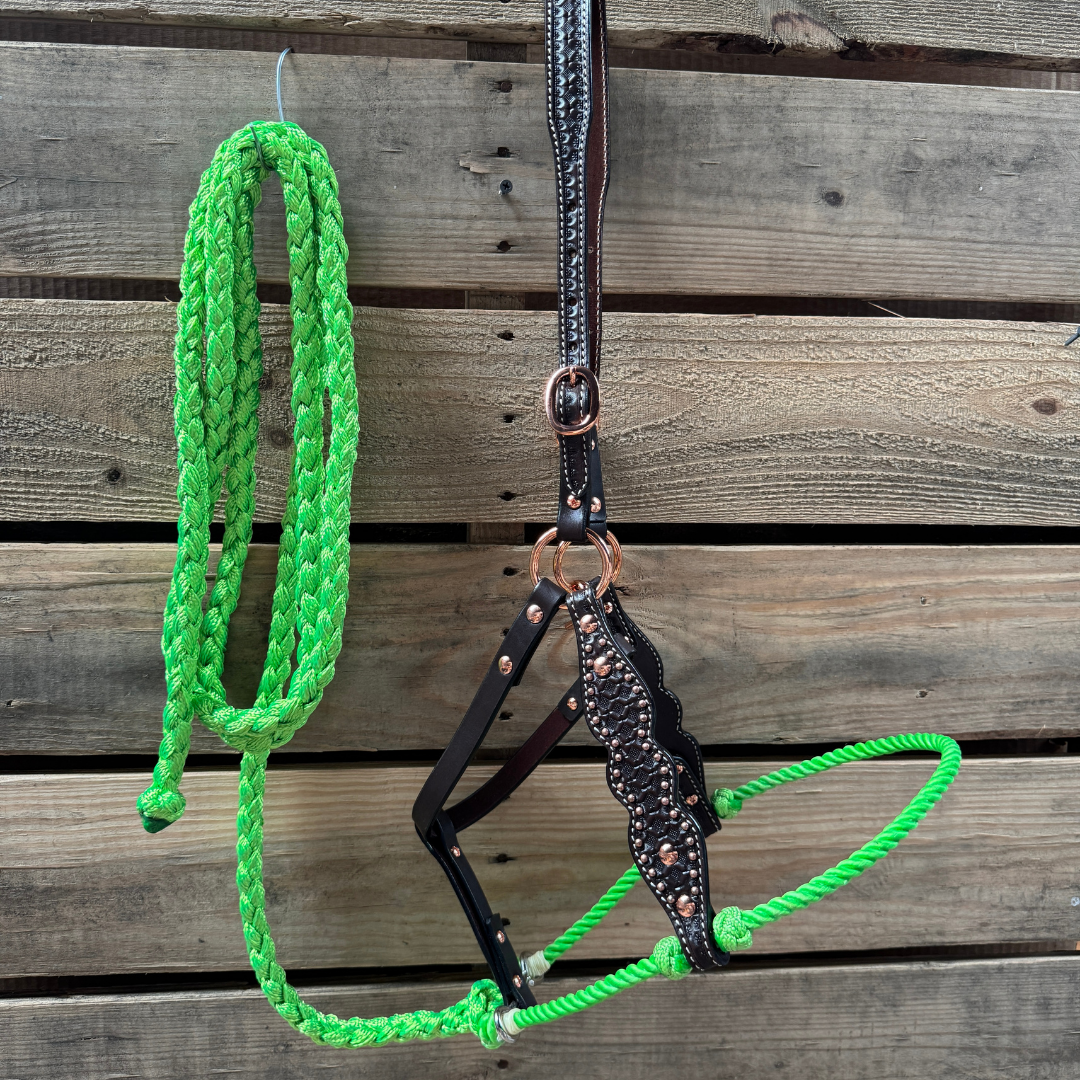 Lime Honeycomb Tooled Lariat & Leather Combo Halter