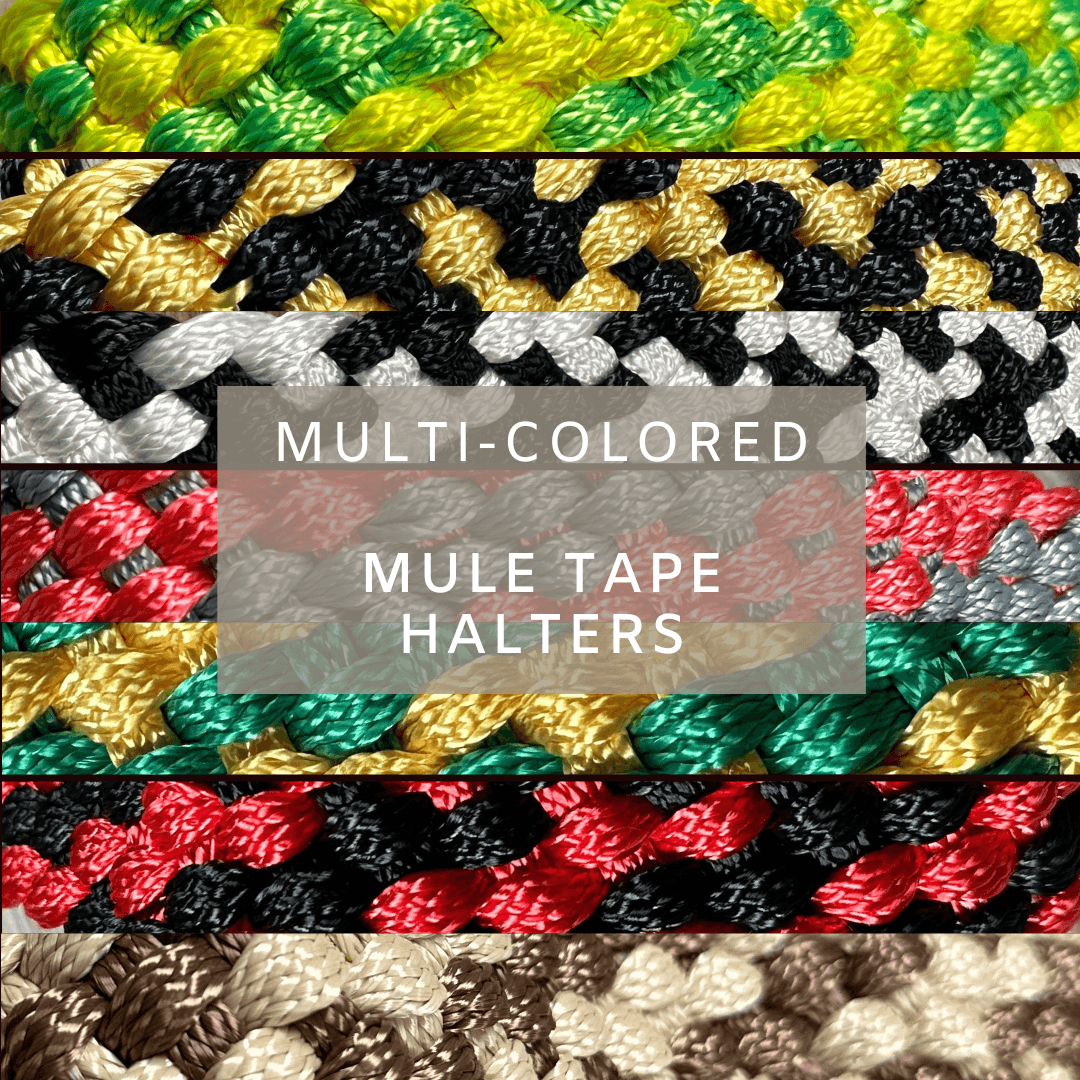 Shop Online best Designer Braided Mule Tape Halters. Custom in many colors.