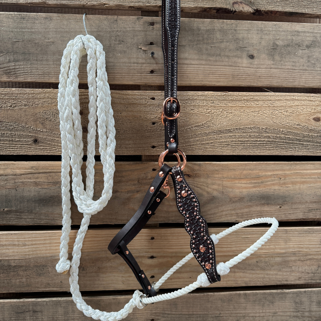 White Honeycomb Tooled Lariat & Leather Combo Halter