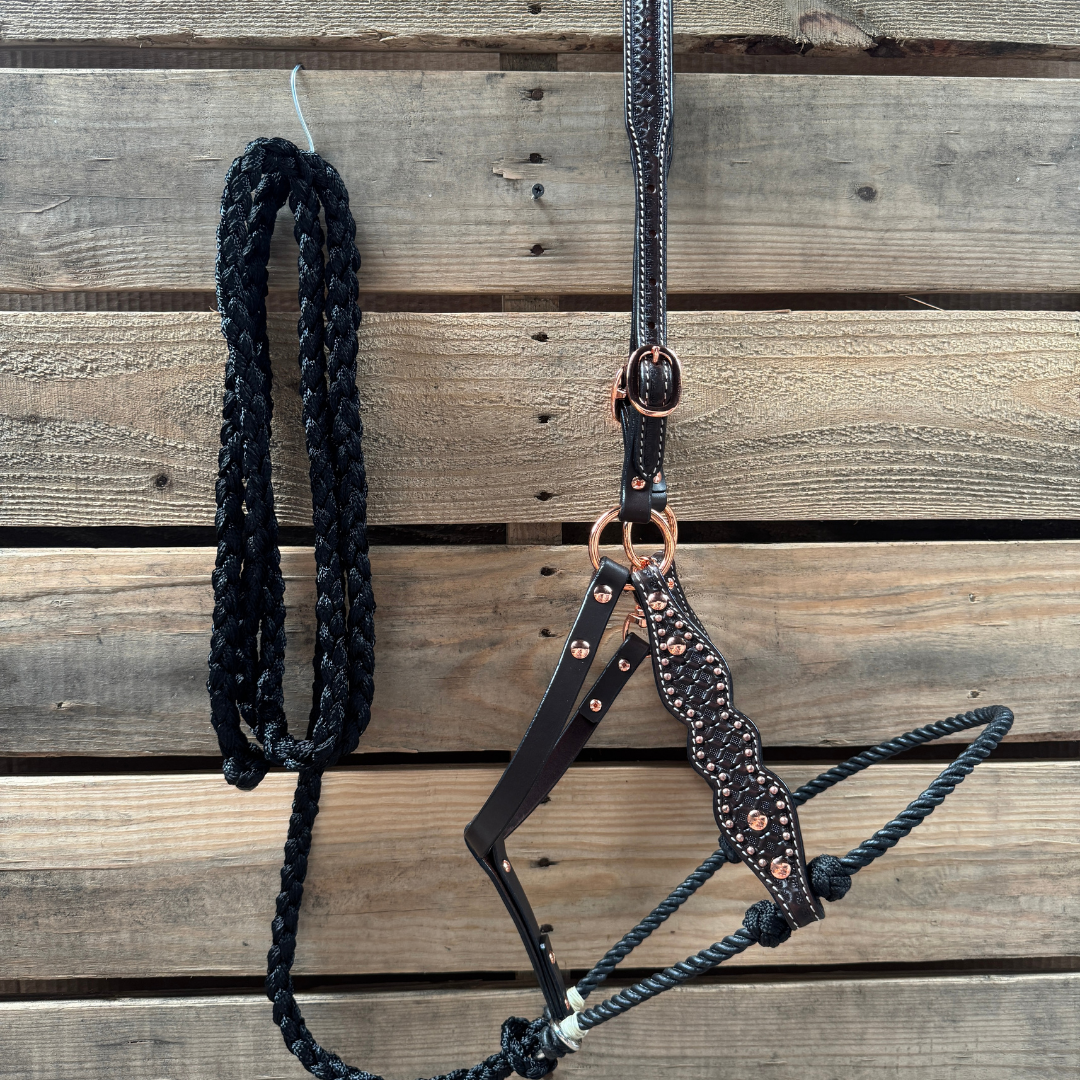 Black Honeycomb Tooled Lariat & Leather Combo Halter