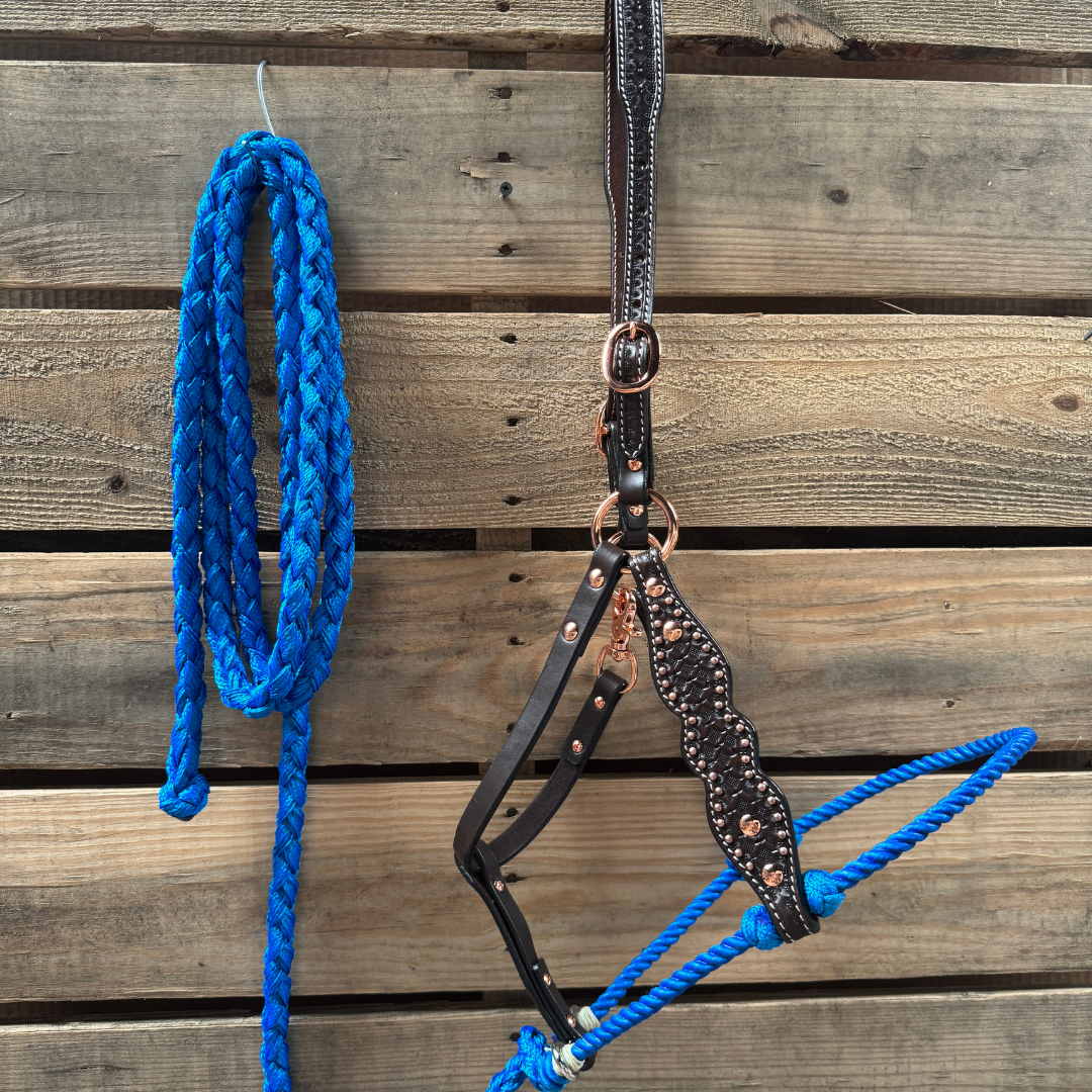 Blue Honeycomb Tooled Lariat & Leather Combo Halter