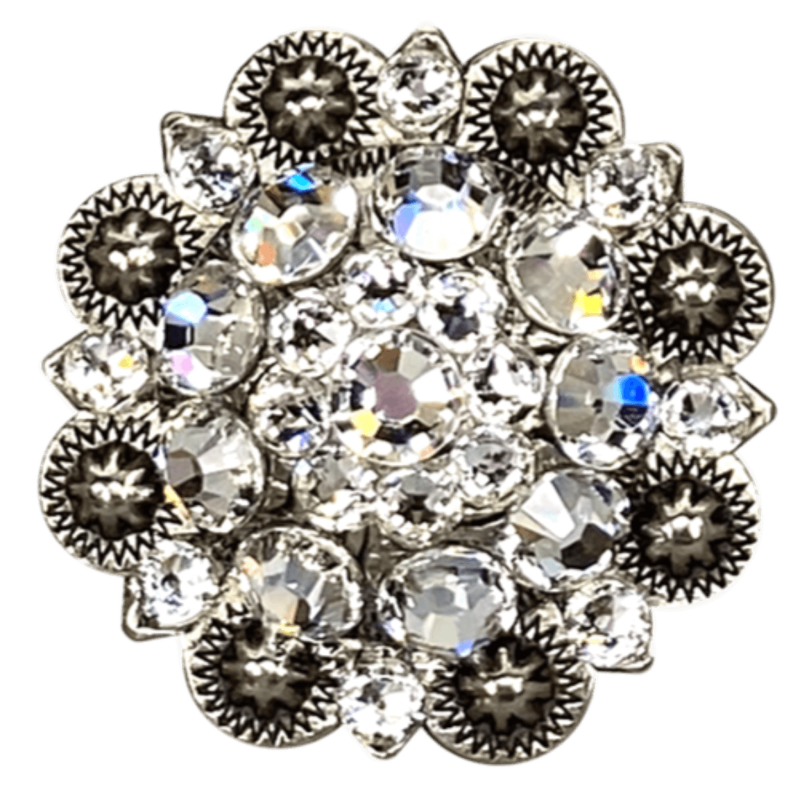 ANTIQUE SILVER CLEAR - RODEO DRIVE