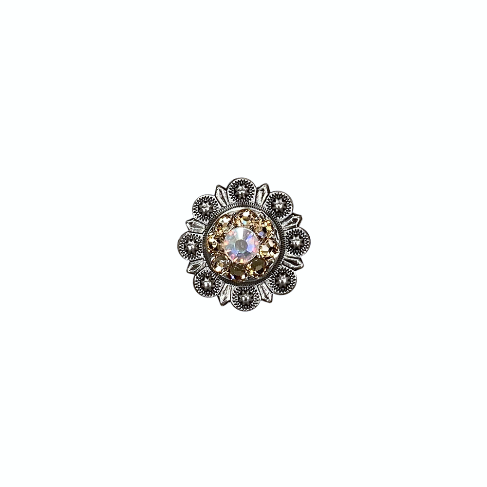 Antique Silver Champagne, AB Crystal Conchos - Sizes from 1