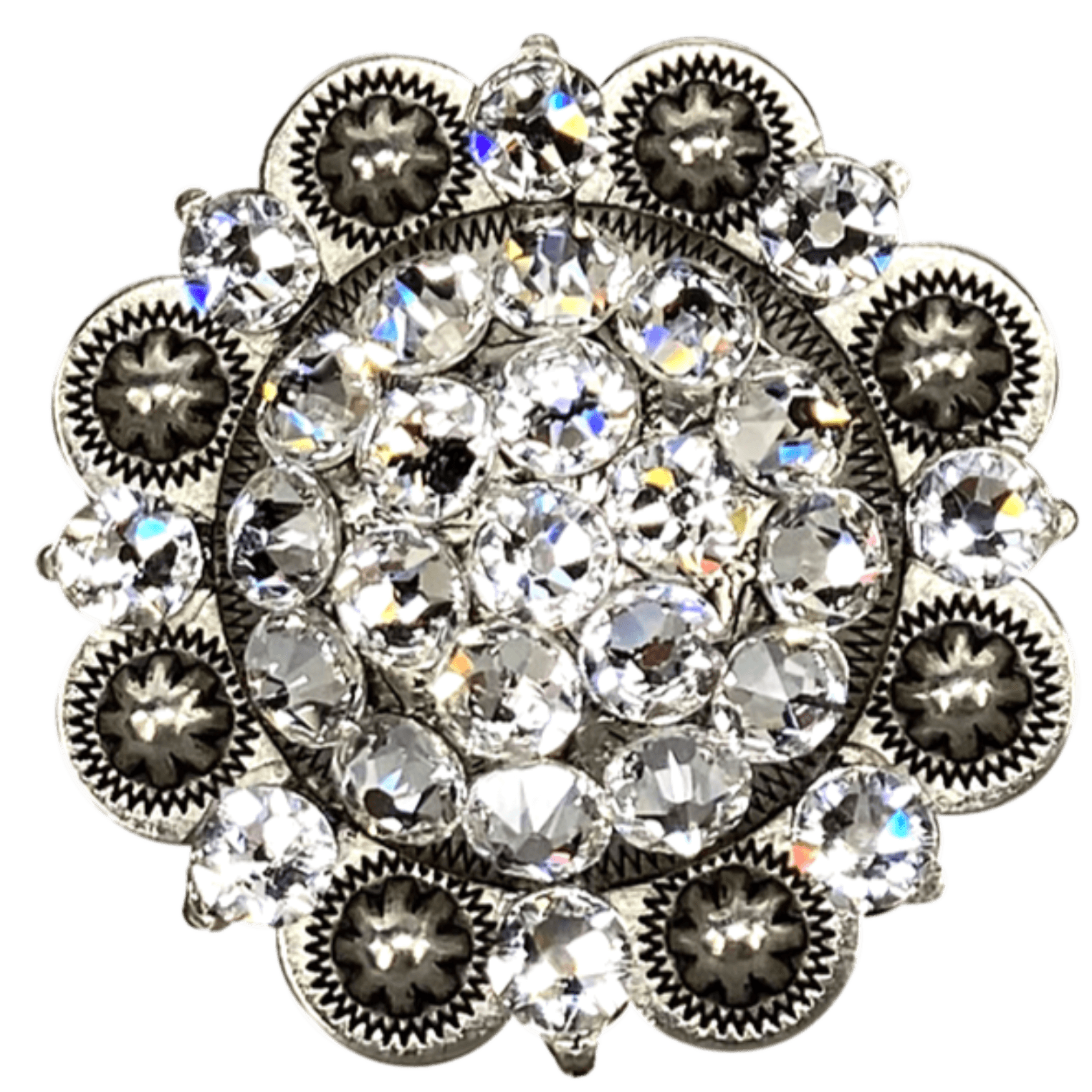 ANTIQUE SILVER CLEAR - RODEO DRIVE