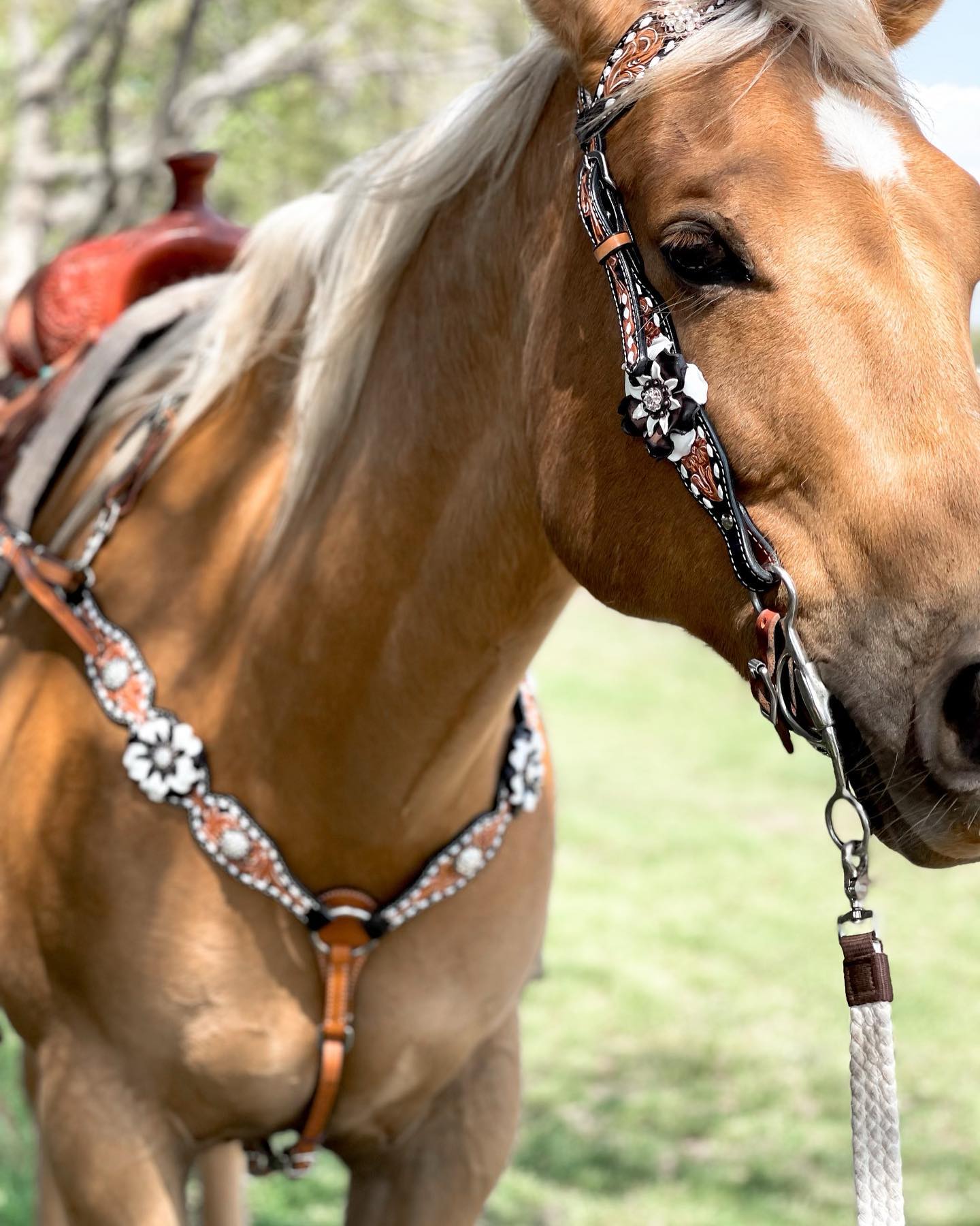 Buckstitch Flower Browband / One Ear Tack Set #BBBC420 - RODEO DRIVE