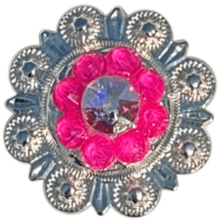 Bright Silver Neon Pink and AB - RODEO DRIVE