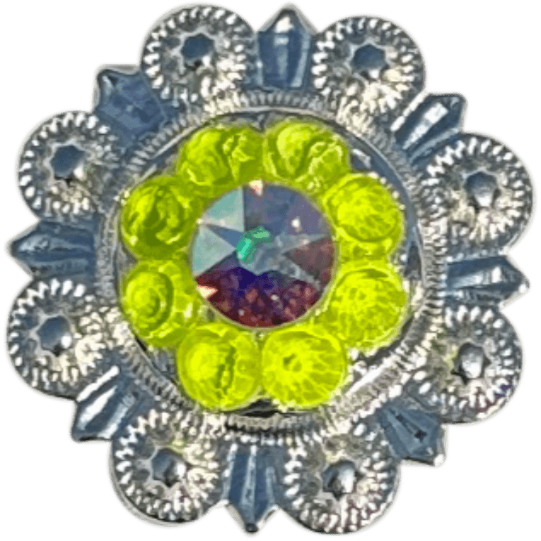 Bright Silver Neon Yellow and AB - RODEO DRIVE