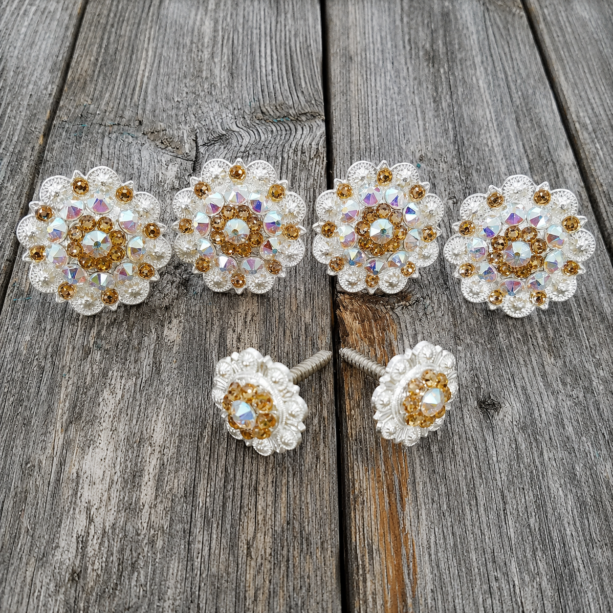 Bright Silver Champagne & AB Saddle Conchos