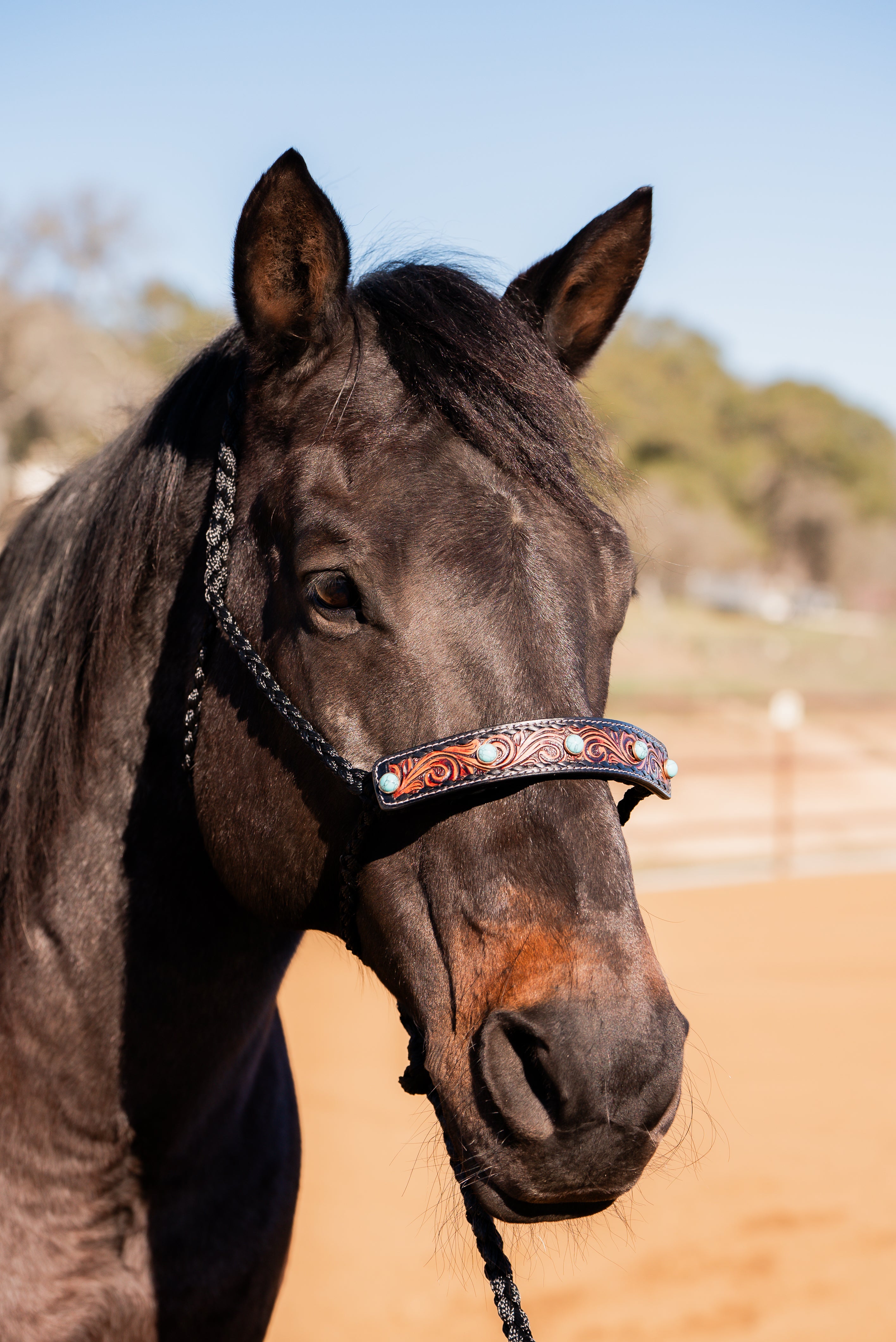 Tack One Shop Custom Designer Tack- One Ear - Browbands - Breastcollars