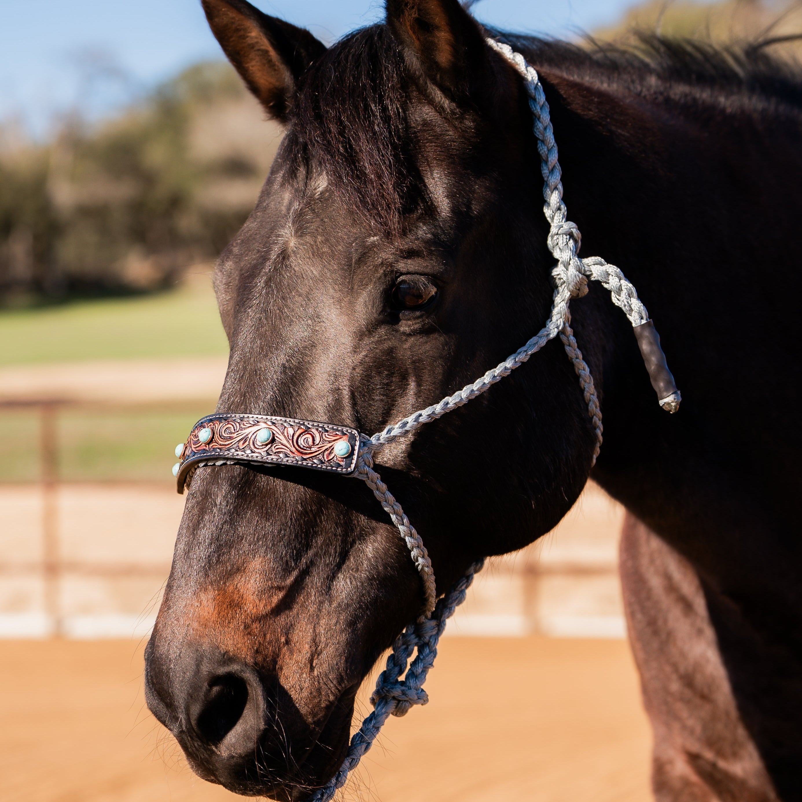 Grey Mule Tape Halter -Turquoise Cabochon #MT232