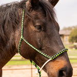 Lariat Mule Tape Halters - Assorted Double Colors-
