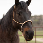 Lariat Mule Tape Halters - Assorted Double Colors-