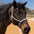 Lariat Mule Tape Halters - Assorted Double Colors-