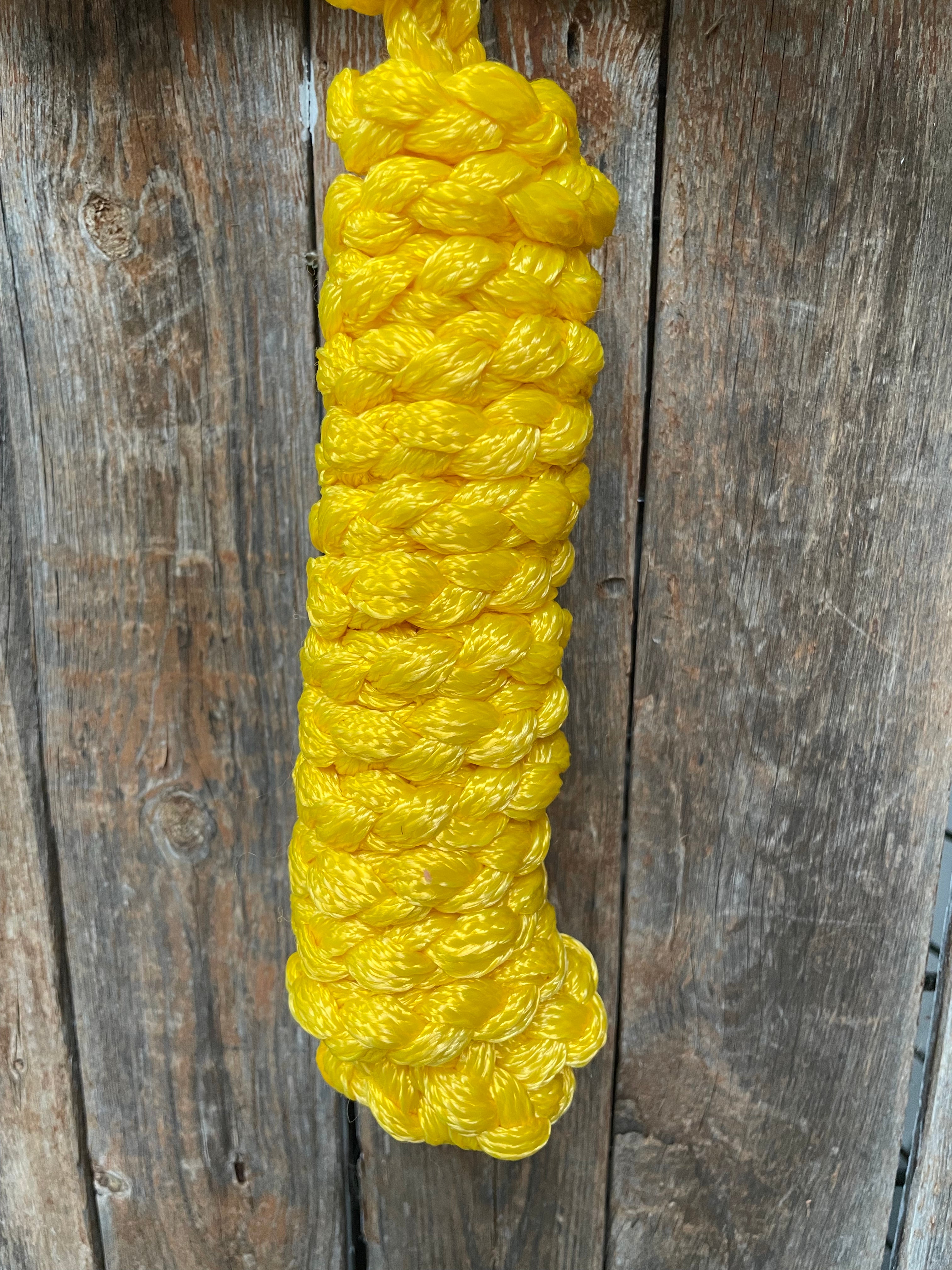 Yellow Mule Tape Halter