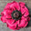Bright Pink Gardenia Leather Flowers - 1" Crystal Conchos - Options