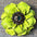Lime Gardenia Leather Flowers - 1" Crystal Conchos - Options