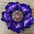 Purple Gardenia Leather Flowers - 1" Crystal Conchos - Options
