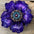 Purple Gardenia Leather Flowers - 1" Crystal Conchos - Options