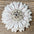 White Daisy Leather Flowers - 1" Crystal Conchos - Options