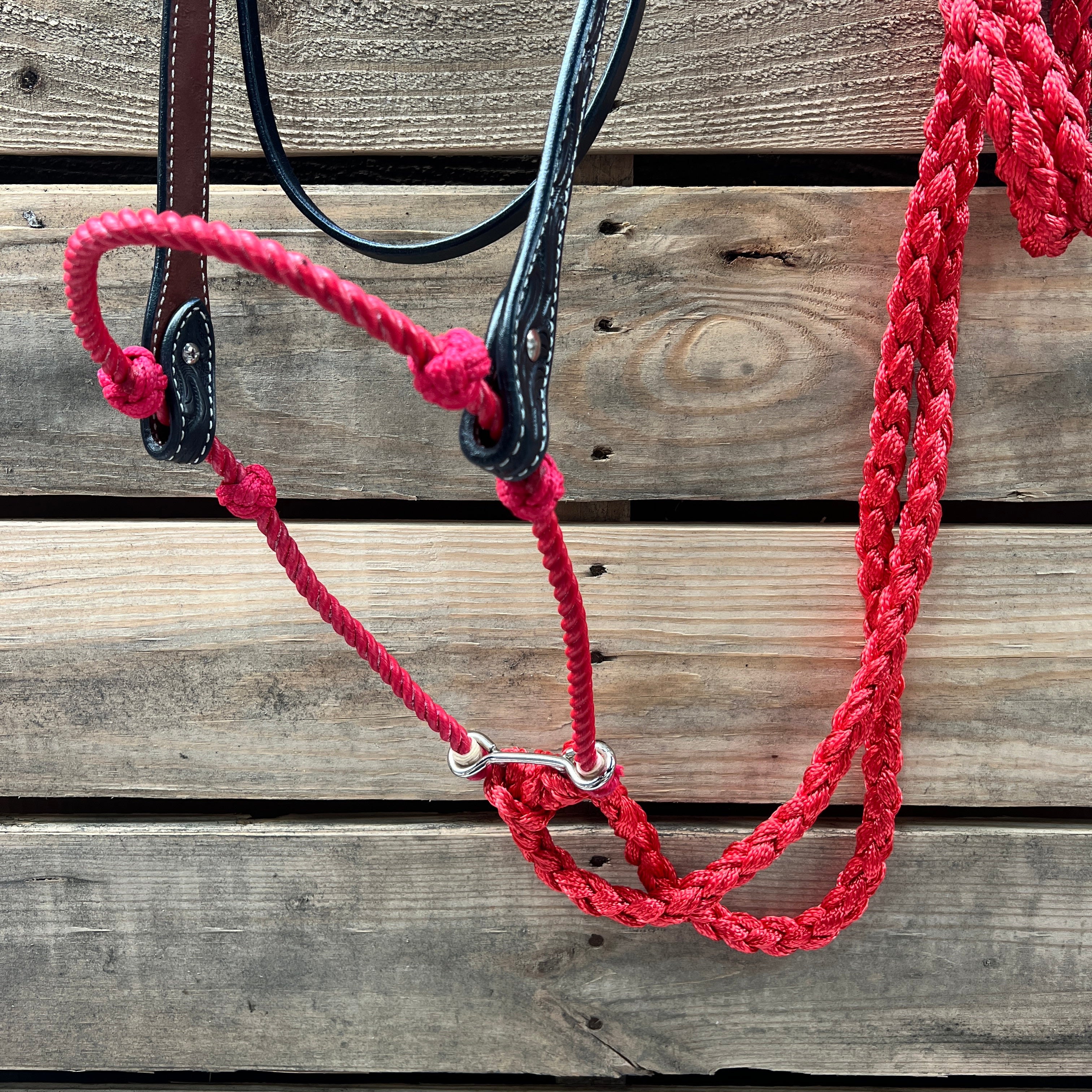 Black Floral V-Brow Red Loping Hackamore #LHK026