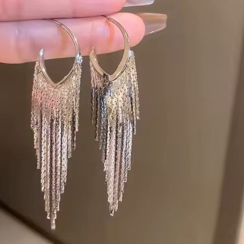 Silver Ranch Style Fringe Fashion Earrings