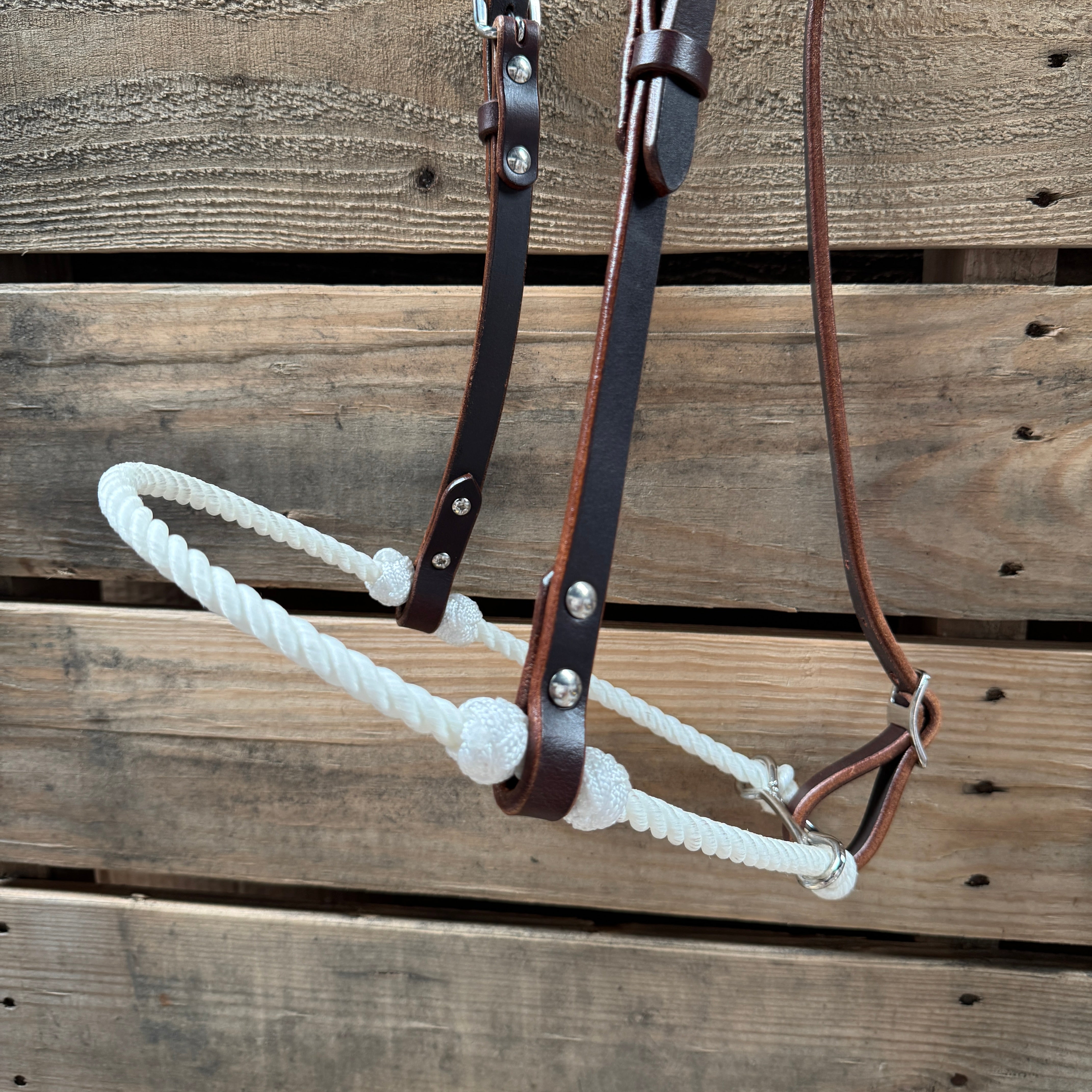 White Single Rope Noseband Lariat with Leather Hanger #HAN106