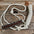 Mule Tape Halter - Leather Buckstitch Noseband - Copper Accents