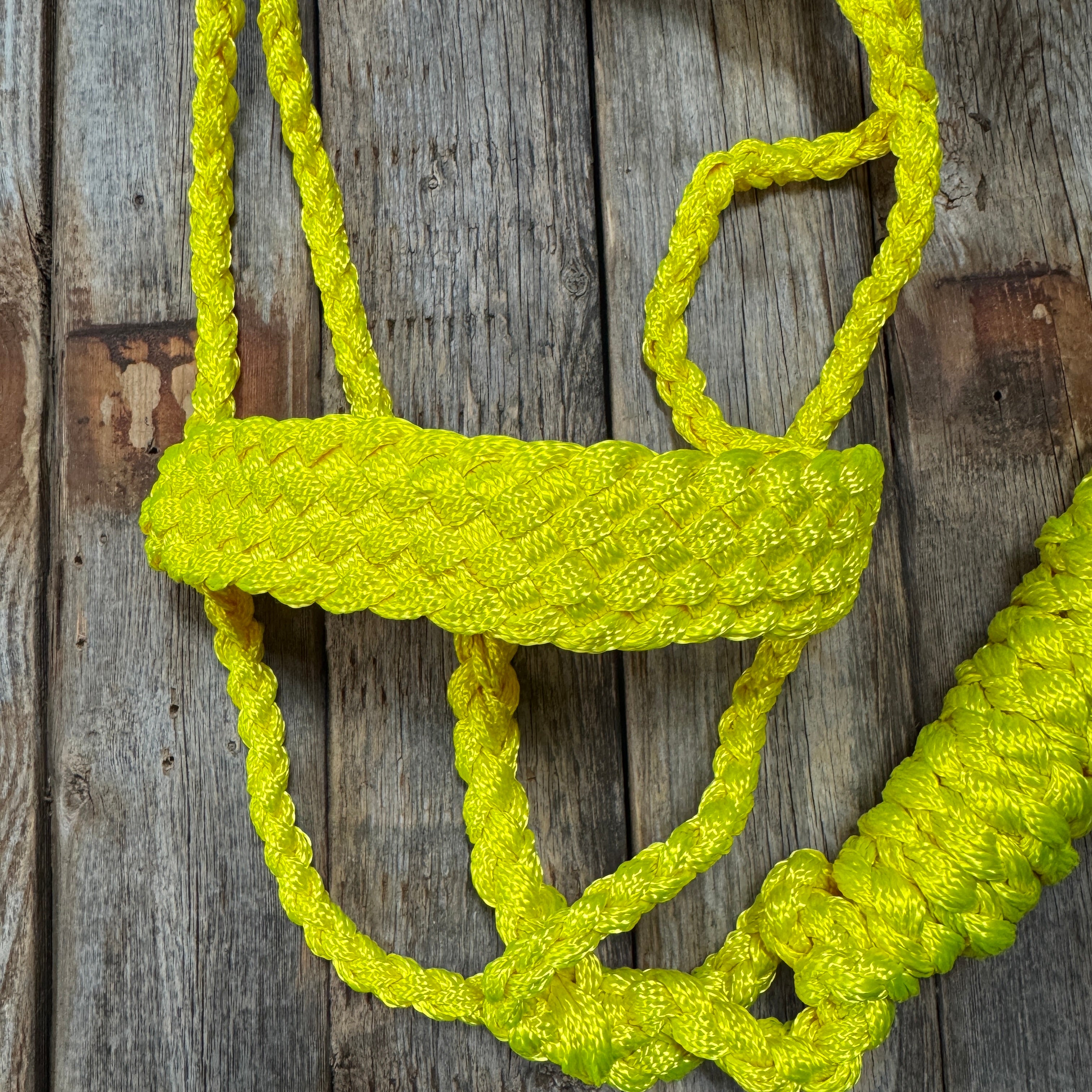 Neon Yellow Mule Tape Halter