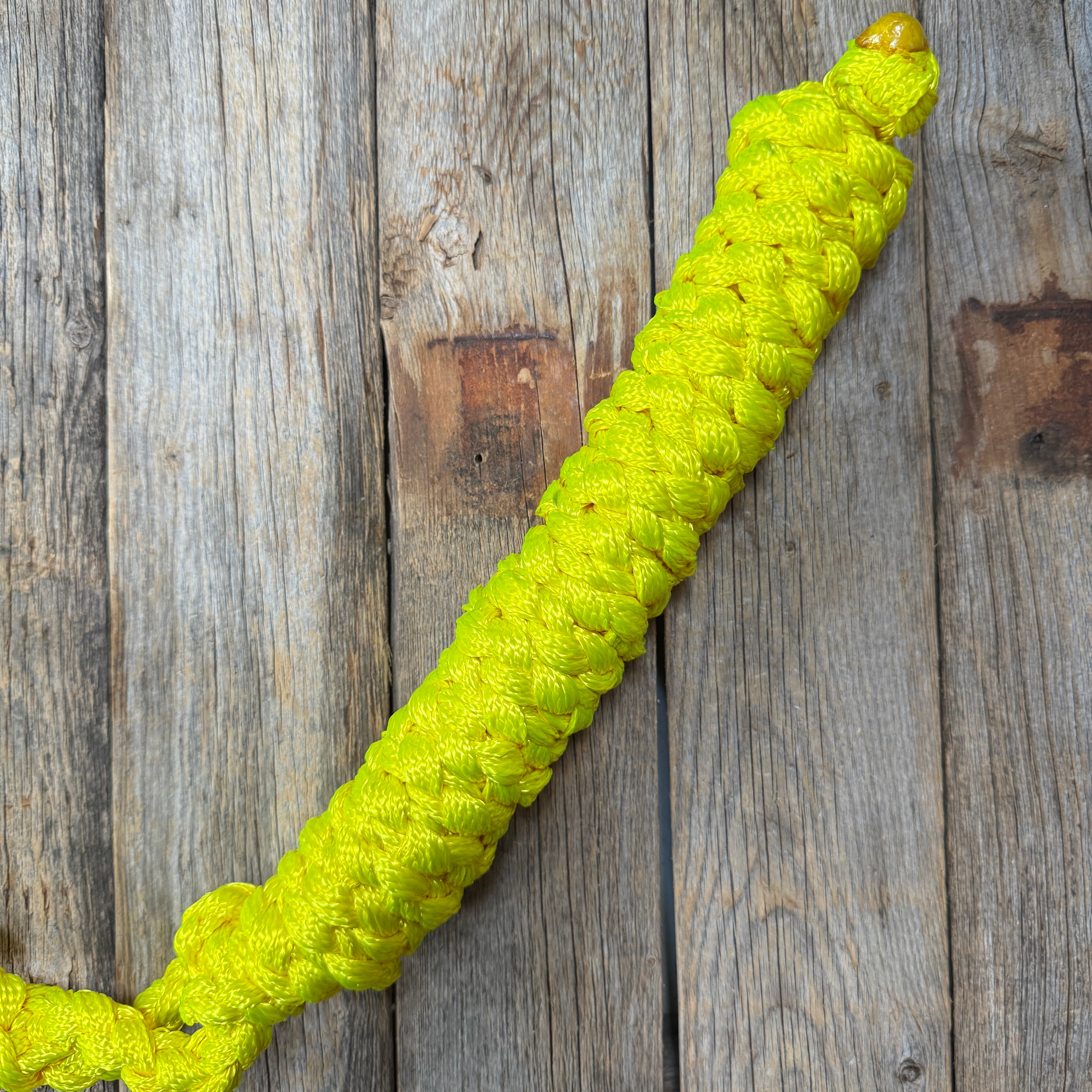 Neon Yellow Mule Tape Halter