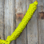 Neon Yellow Mule Tape Halter