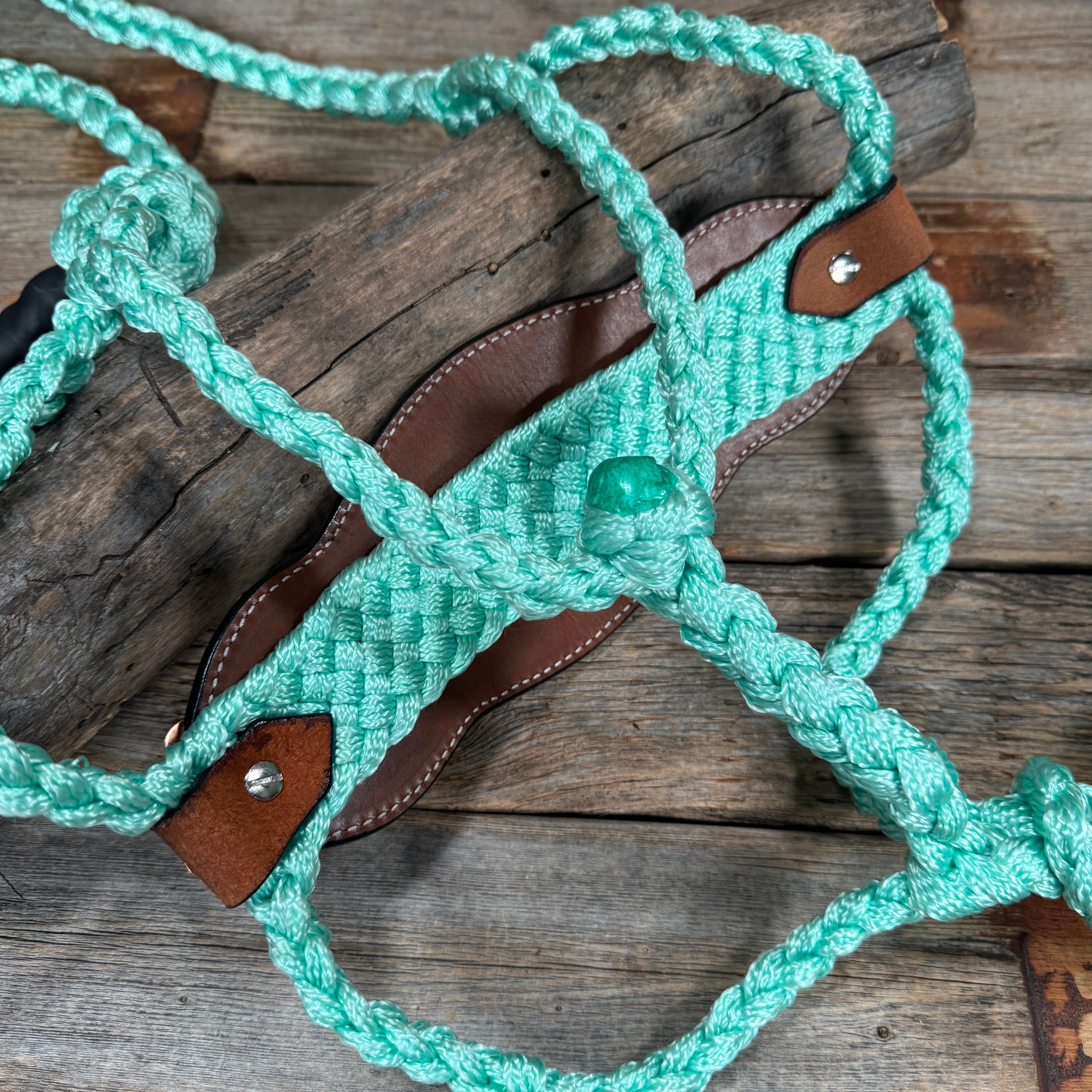 Bronc Noseband Mule Tape Halter with Copper Clear Conchos #MT300
