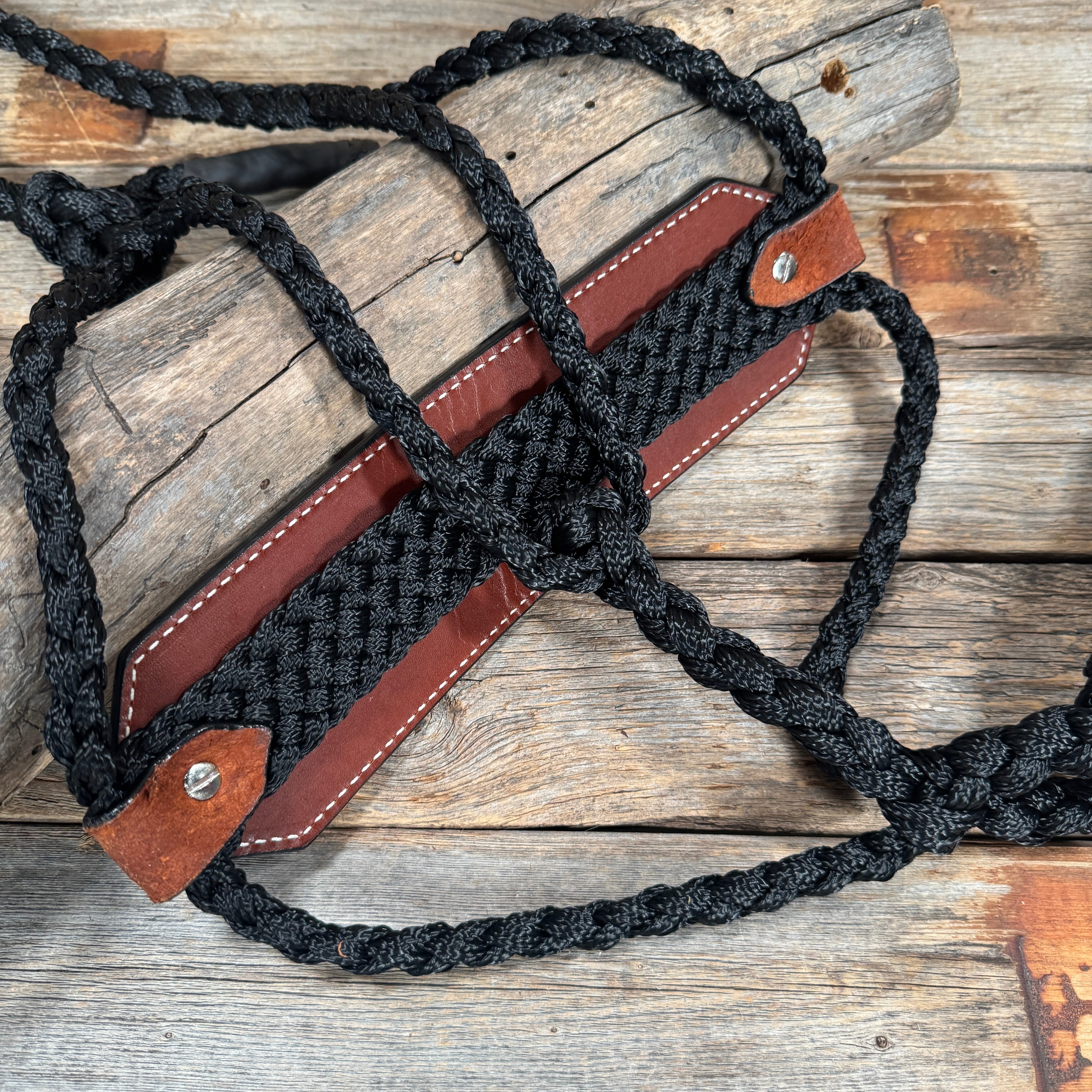 Bronc Noseband Mule Tape Halter with Copper Ruby/Jet/Champagne Conchos #MT302